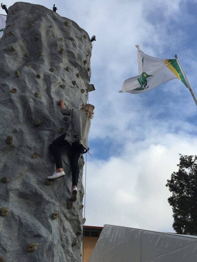 Marryatville climbing wall