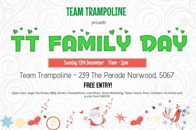 Team Trampoline Family Day 13 December 2015