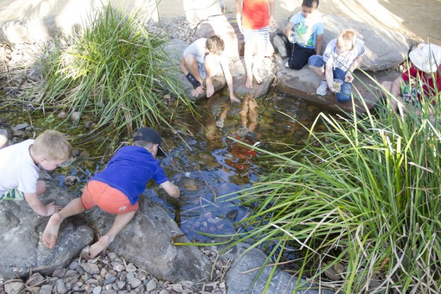 Adelaide Zoo Nature's Playground Creek Bed-Photo by Dave Mattner