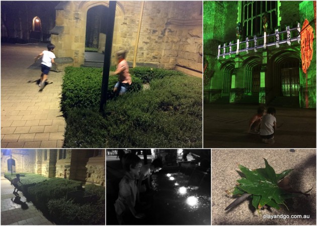 Fringe Illuminations nature play