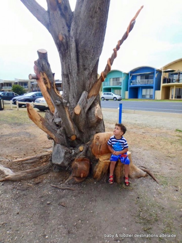 goolwa nature park tree