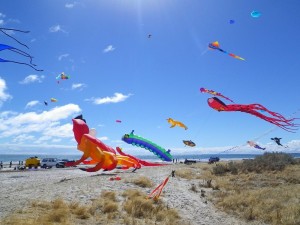 adelaide kite festival