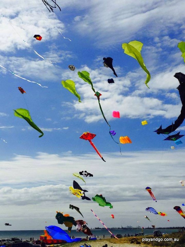 Semaphore Kite Festival (6)