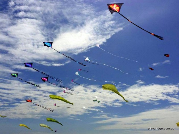 kite festival 2 (2)