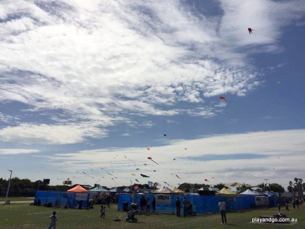kite festival 3 (3)