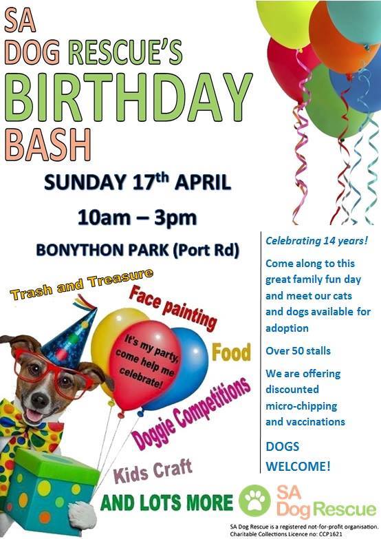 dog rescue birthday bash