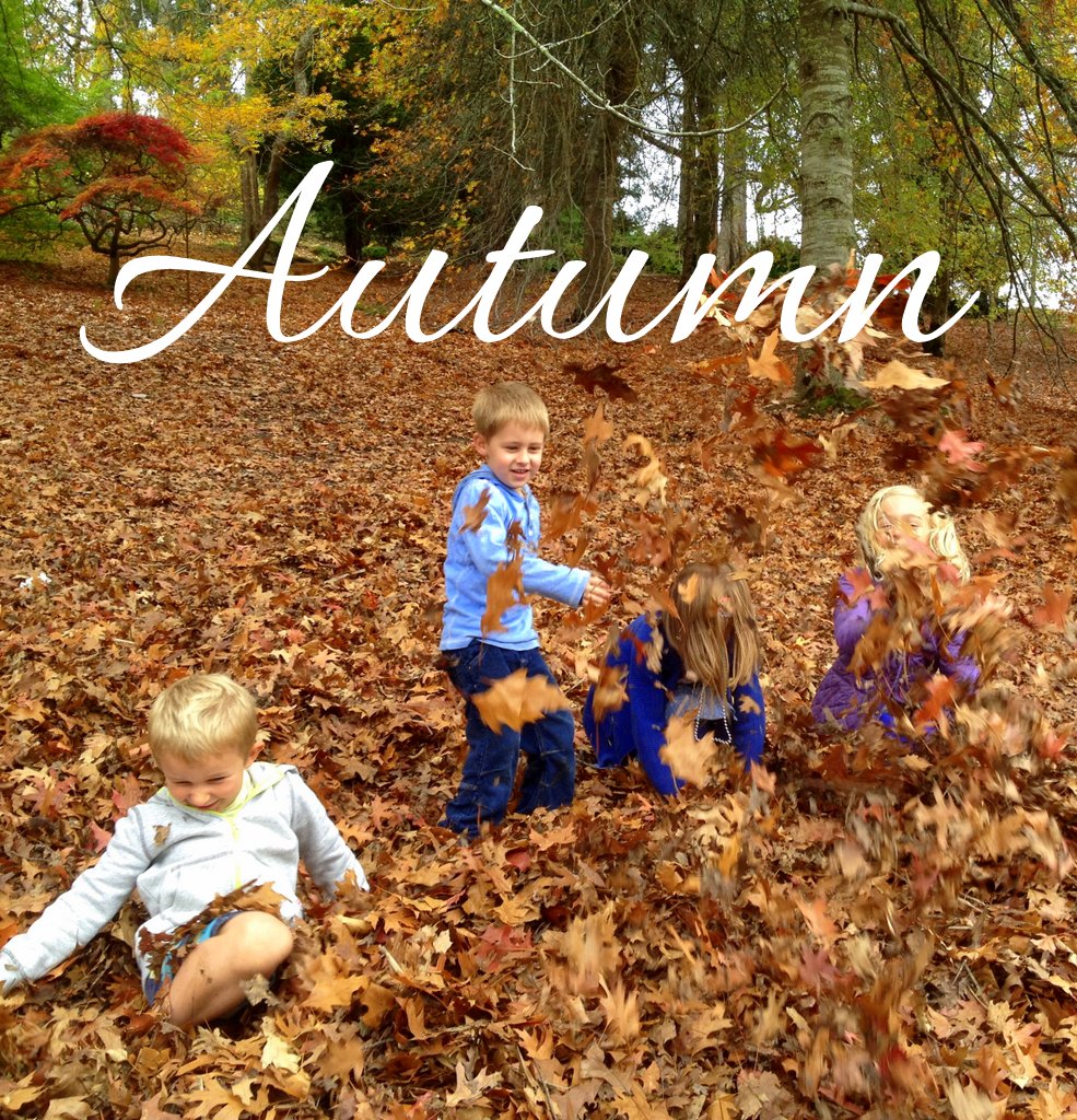 Autumn School Holiday Guide Activities, Events & Ideas for Adelaide