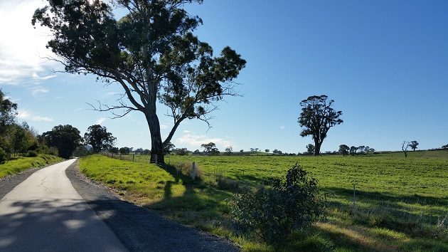 Amy Gillett bikeway