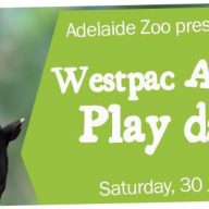 adelaide zoo westpac animal play day 30 july 16