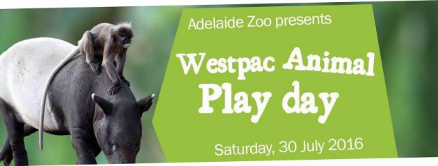 adelaide zoo westpac animal play day 30 july 16