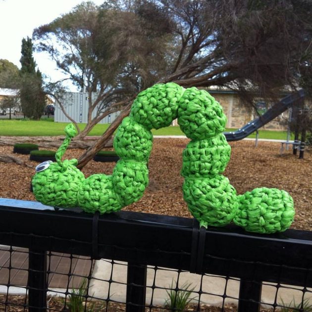 Grant Place Reserve caterpillar