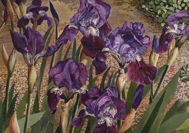 Stanley SPENCER - Blue Iris CROPPED_event-detail