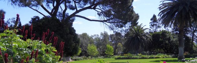 beaumont-house-photo-merilyn-kuchel-a-1920x616