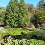 top walks in adelaide for families