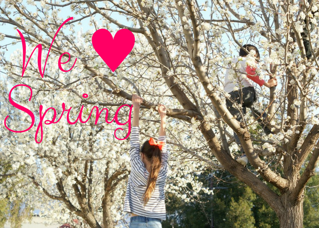 We love Spring things to do in Adelaide