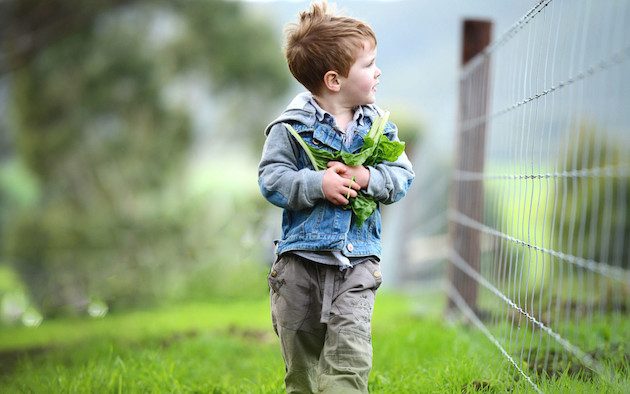 spring-farm-fair-1080x675