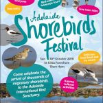 Adelaide Shorebirds Festival