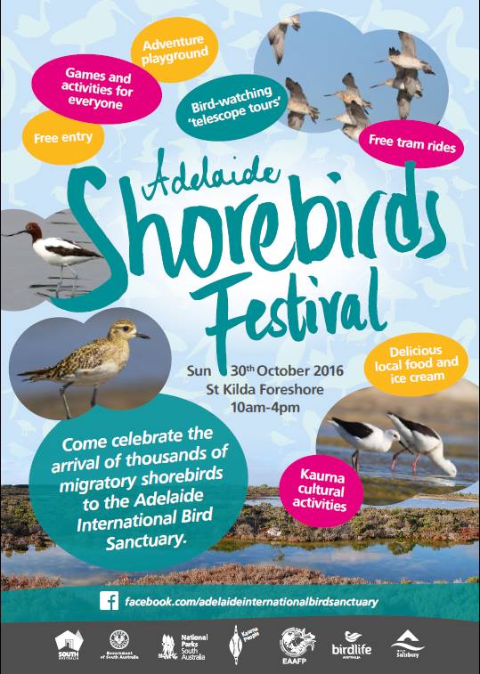 Adelaide Shorebirds Festival