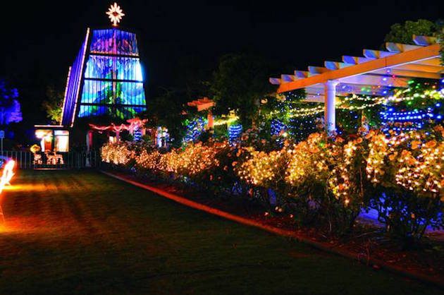 westminster-school-christmas-lights