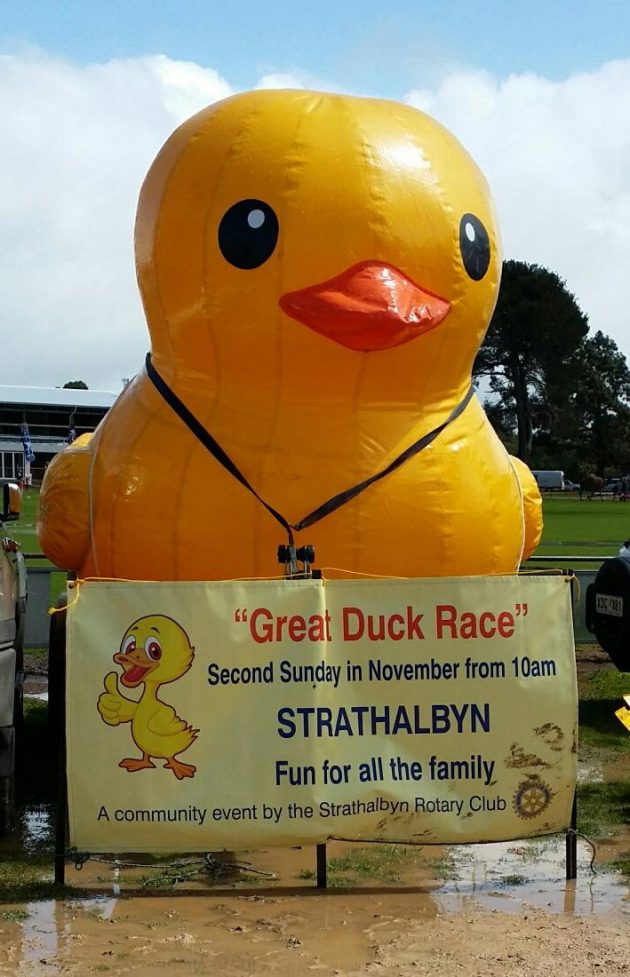 Great Duck Race