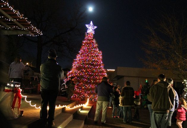 Christmas Tree Festival 