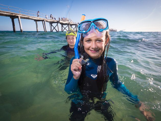 Immerse yourself in a marine park this summer