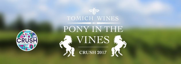 Pony in the VInes Tomich Winery