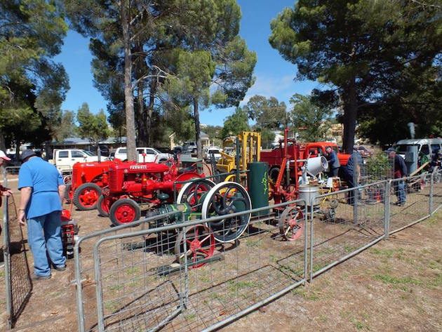 angaston show