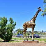 jubilee playground giraffe