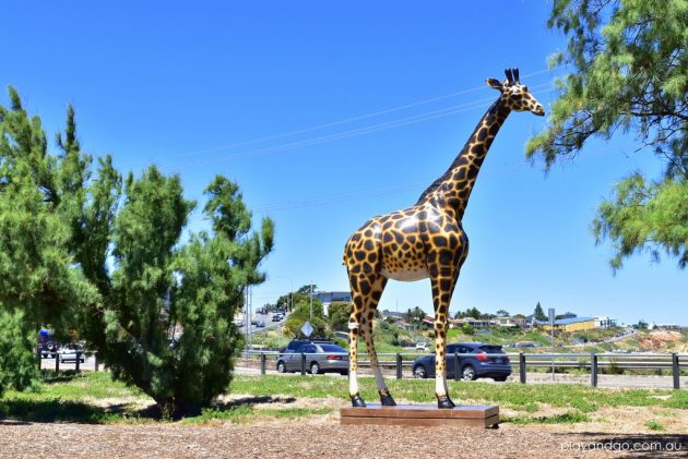 jubilee playground giraffe