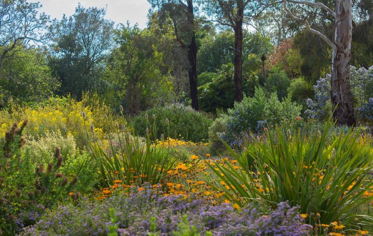 BGANZ Open Day | Wittunga Botanic Garden | 28 May 2017 - Play & Go ...