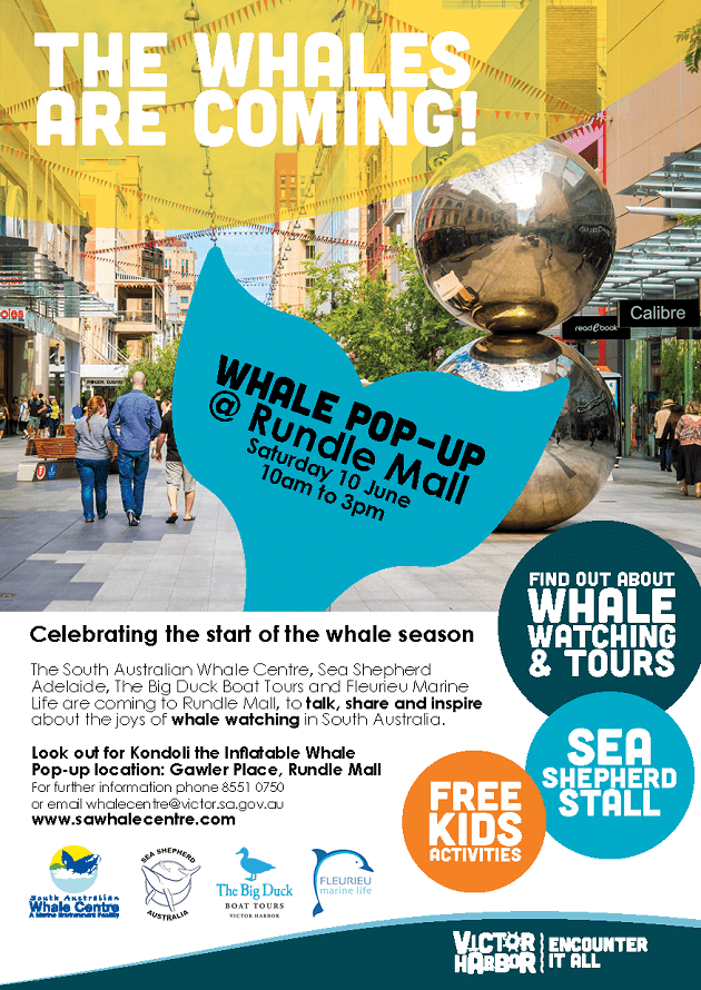 Whale-Season-Rundle-Mall-2017