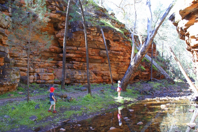 alligator gorge mt remarkable national park