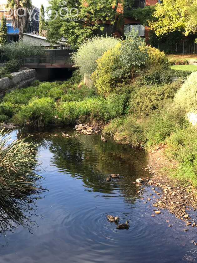 Dunstone Grove/Linde Reserve Playground Review