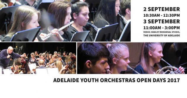 adelaide youth orchestra open days