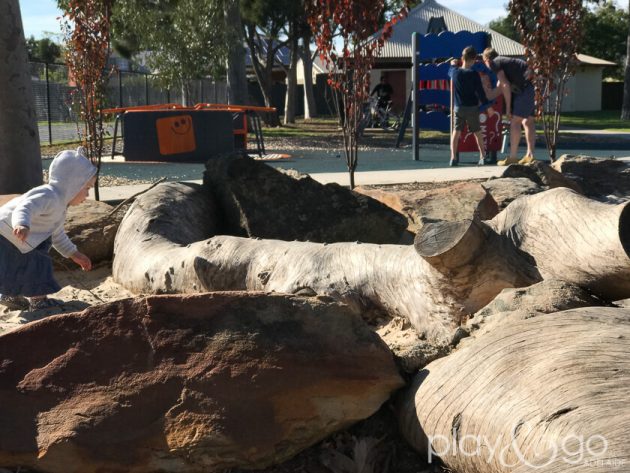 Allenby Gardens Reserve Accessible Playground