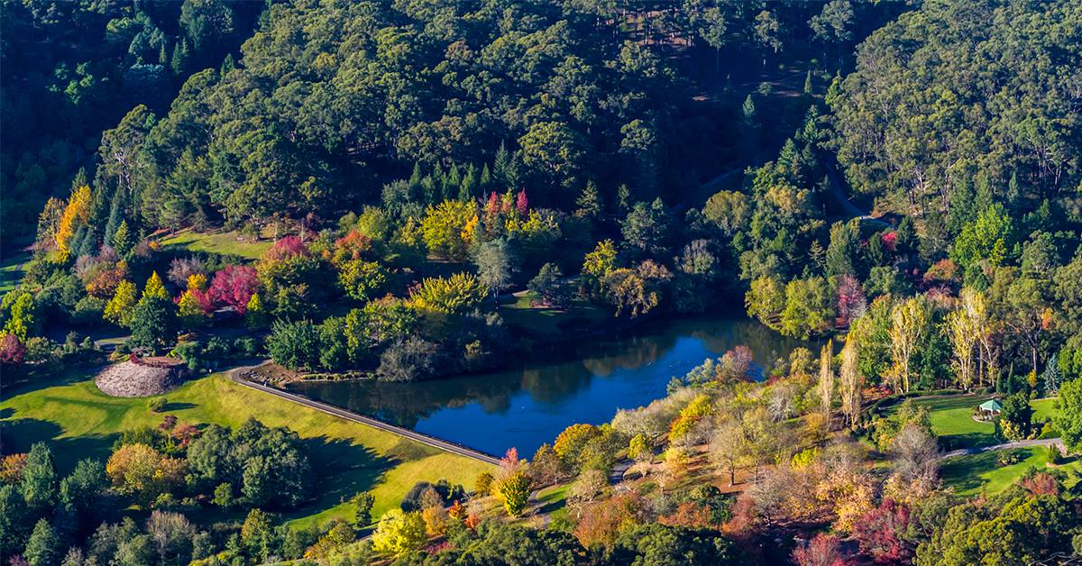 Mount Lofty Botanic Garden's 40th Birthday | 5 Nov 2017 - What's on for