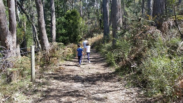 bushwalking sa