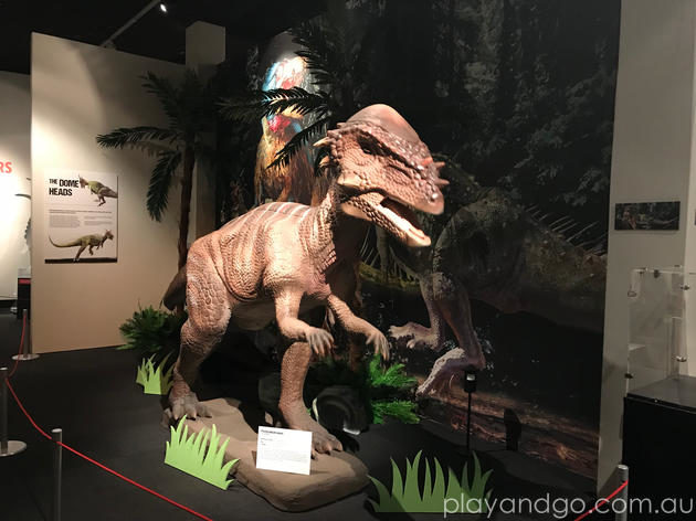 Museum Dinosaur Revolution