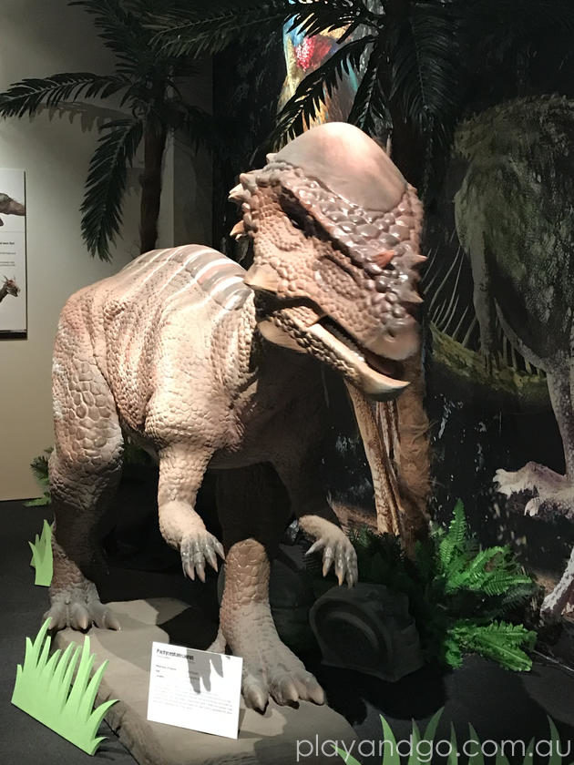 dinosaur revolution sa museum 