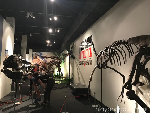dinosaur revolution sa museum
