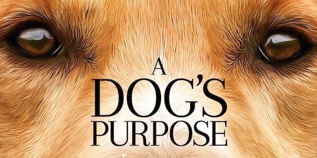 a dogs purpose