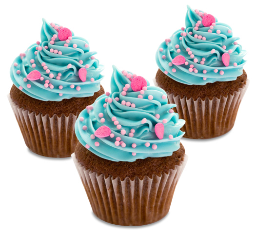 Cupcake Decorating Classes Clarence Gardens