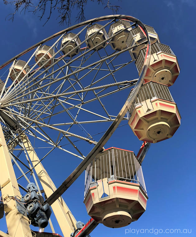 ice skating adelaide ferris wheel vic square