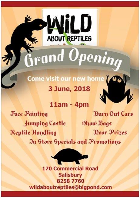 Reptile hot sale shop salisbury