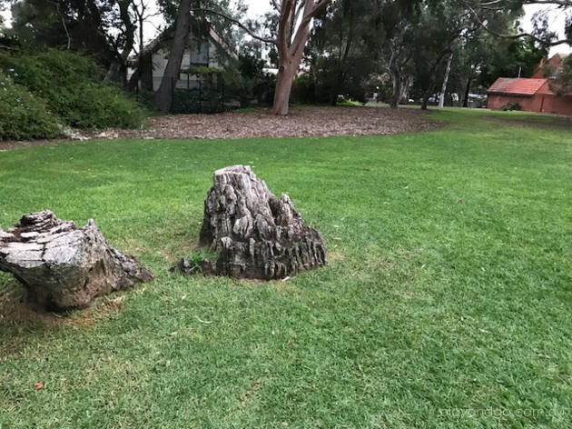 Fraser Reserve Myrtle Bank Playground Review by Susannah Marks