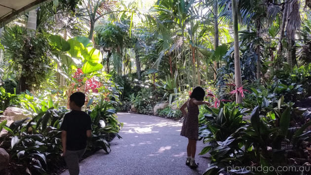 A visit to Brisbane | Guide for families