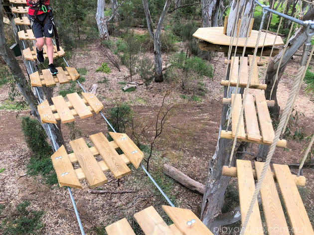 Treeclimb Adelaide Aerial Adventure Park In The City What You Need To Know Play And Go