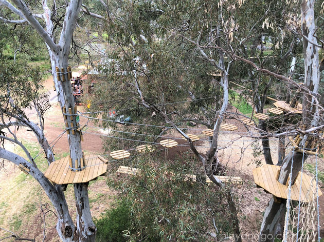 Treeclimb Aerial Adventure Park Adelaide And Kuitpo Forest What You Need To Know Play And Go