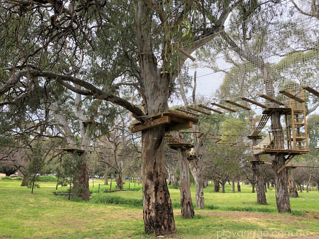 TreeClimb Adelaide aeria